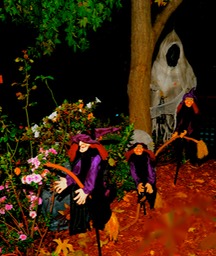 DSC_9355EBGG Halloween