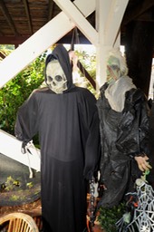 DSC_7081EBGG Halloween