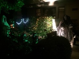 IMG_1882