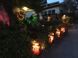 IMG_4001 (1)