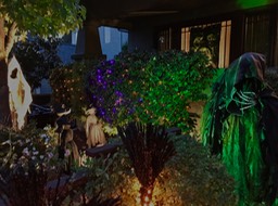 IMG_4691