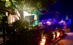 IMG_5981