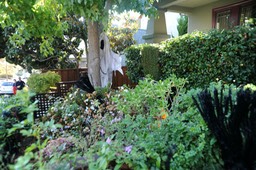EBGG Halloween web size_01