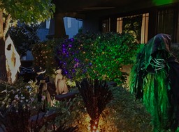 IMG_4691