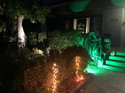 IMG_5984