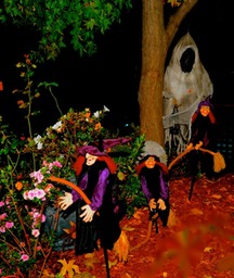 dsc_9355ebgg-halloween-2_med