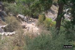P0001351