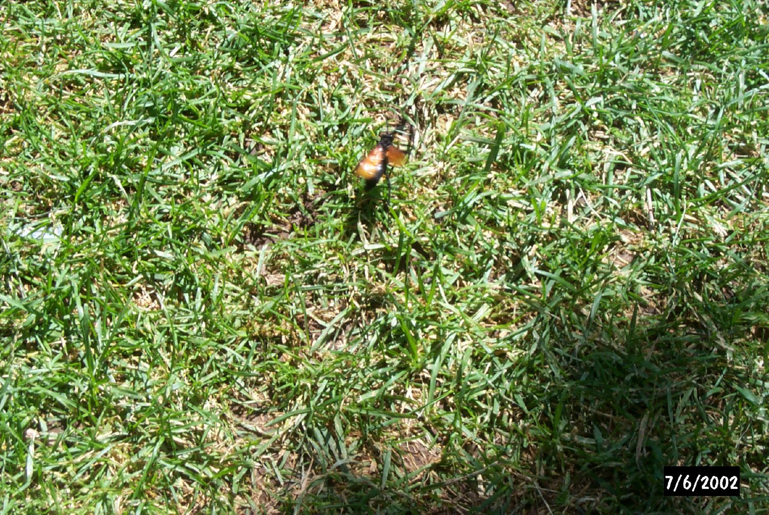 P0001434