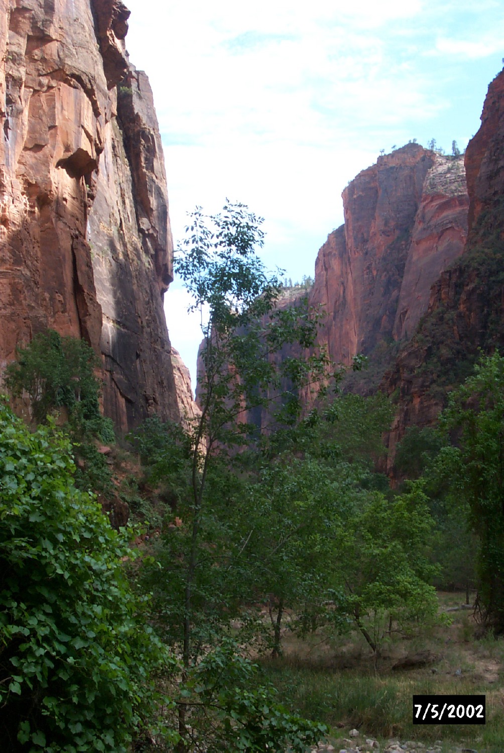 P0001429