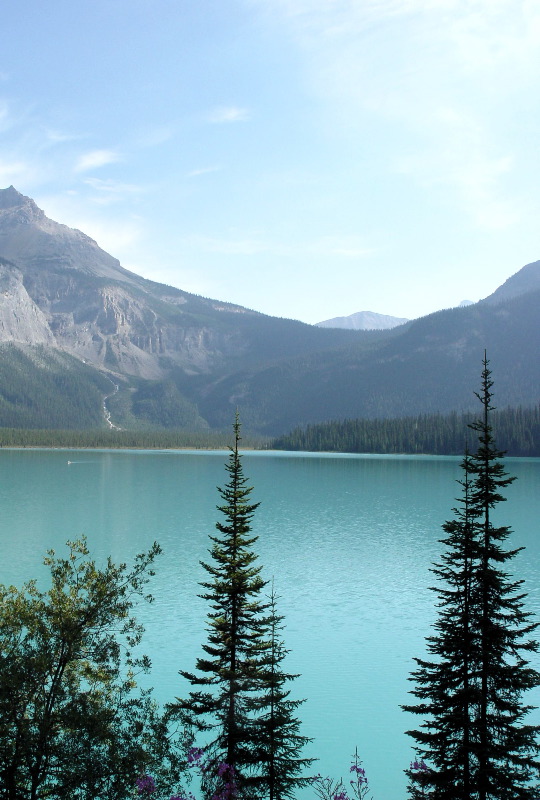 Yoho Pass
