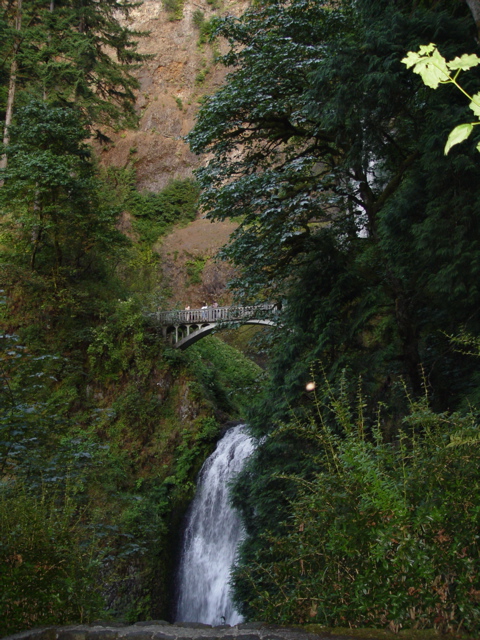 DSC00442