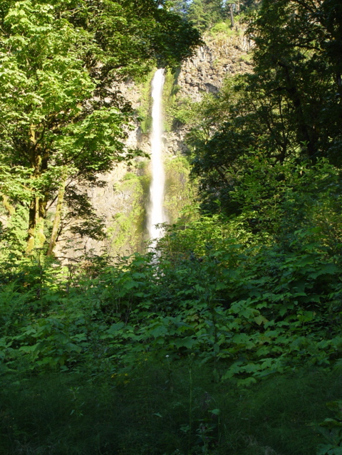 DSC00414