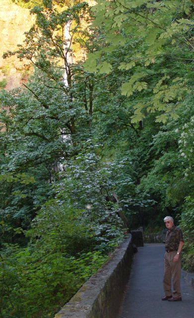 DSC00434