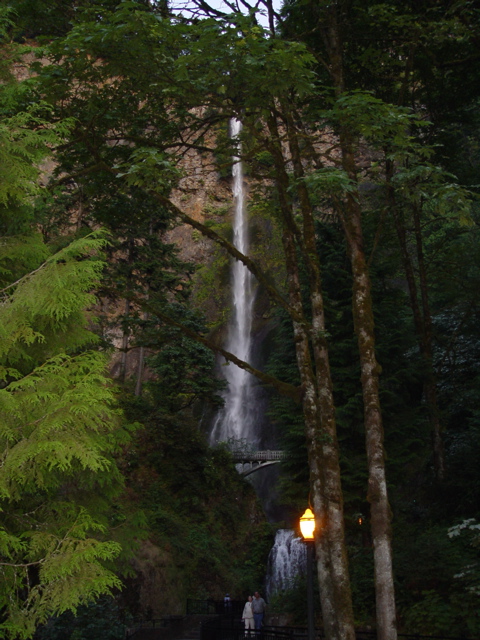 DSC00443