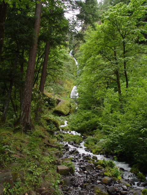 DSC00372