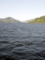 DSC00397