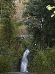DSC00442