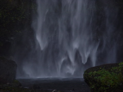 DSC00437