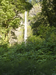 DSC00414