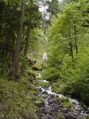 DSC00372